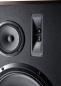 Preview: Magnat Transpuls 1500